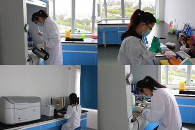 歐易訪談 專注生物技術服務，以技術開發驅動質量與體驗雙提升