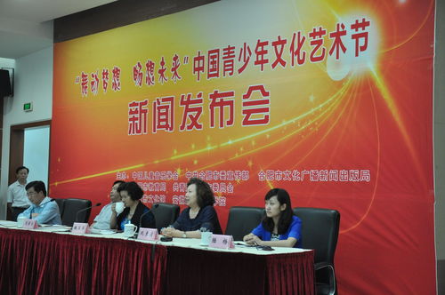 2015中國合肥青少年文化藝術(shù)節(jié) 文化交流的青春盛宴
