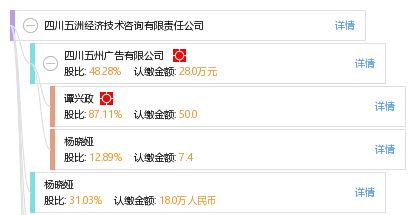 四川五洲經濟技術咨詢有限責任公司 專業優勢與技術咨詢服務